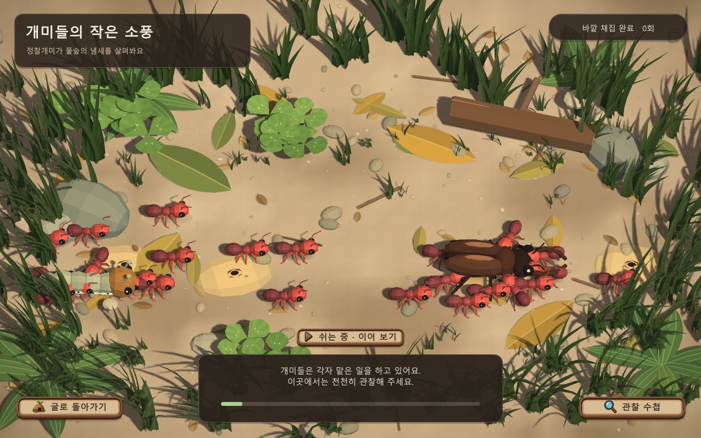 개미들이 마당에서 채집하는 화면